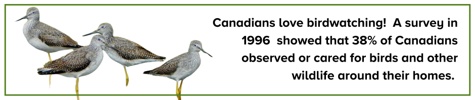 38% of canadians enjoy birdwatching