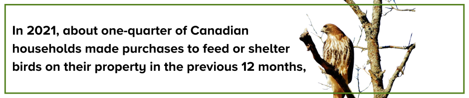 Around 25% of Canadians buy feed or shelter for birds and other wildlife