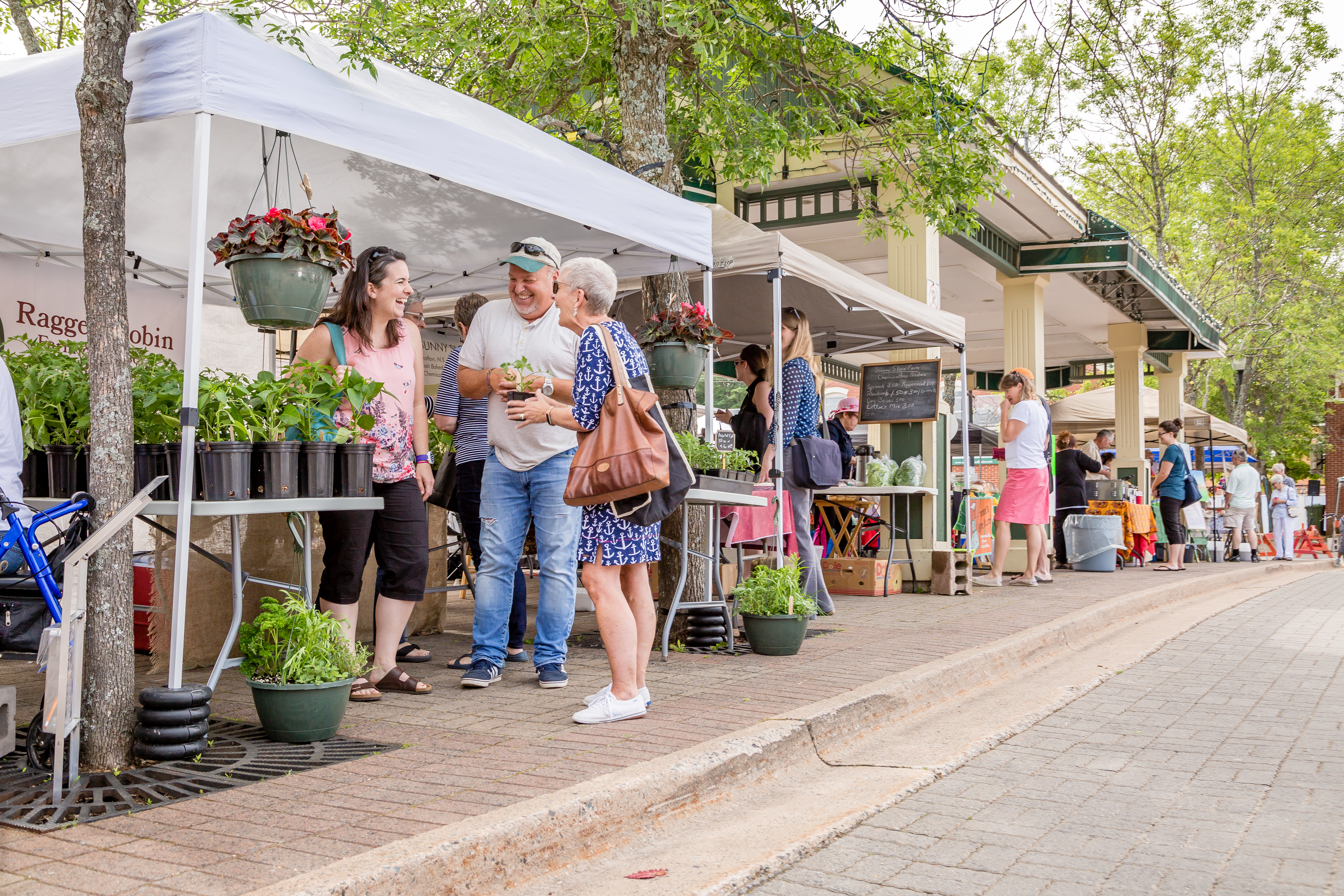 People shopping at the Kentville Farmers Market