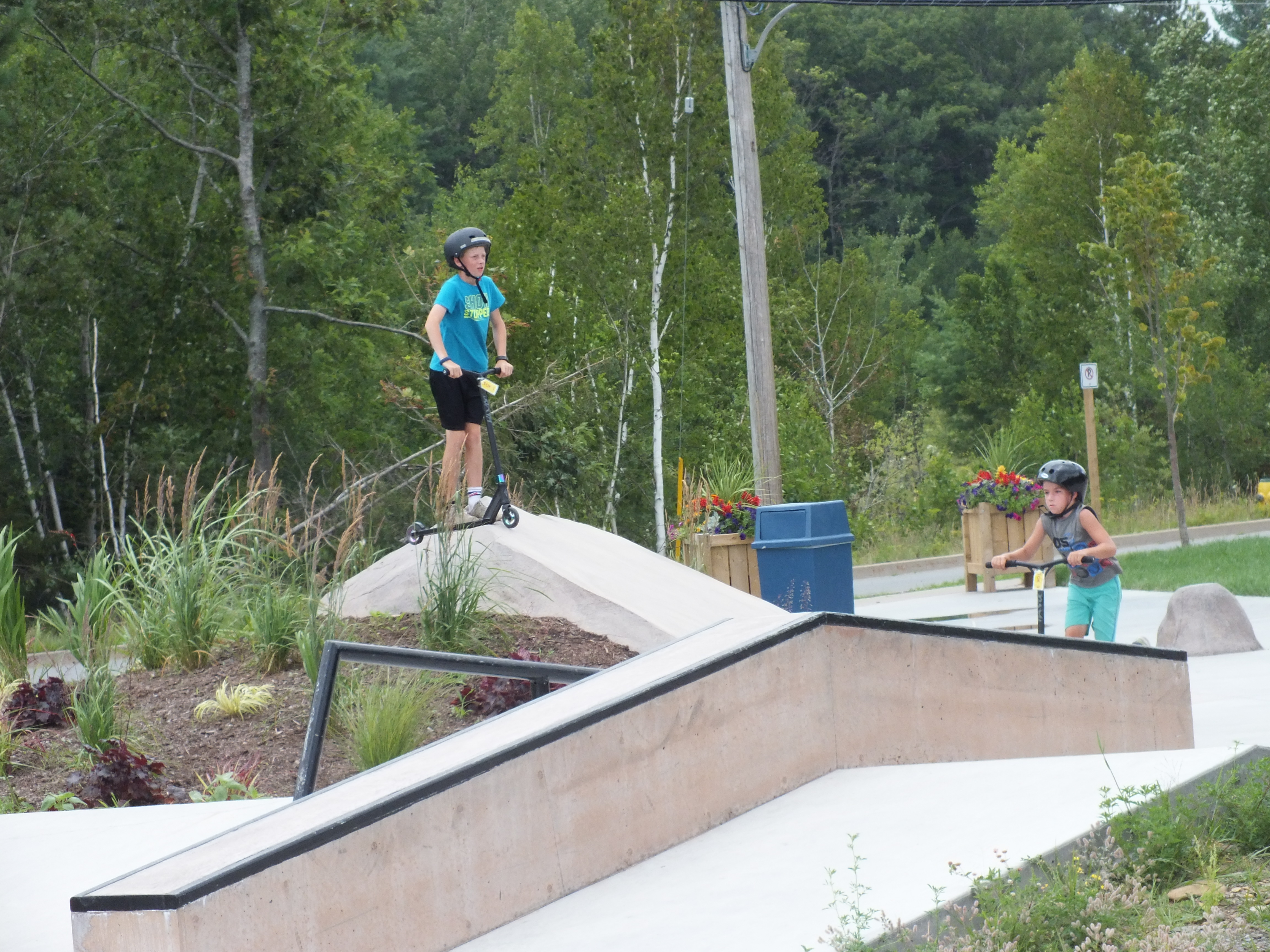 Kids at the skate park