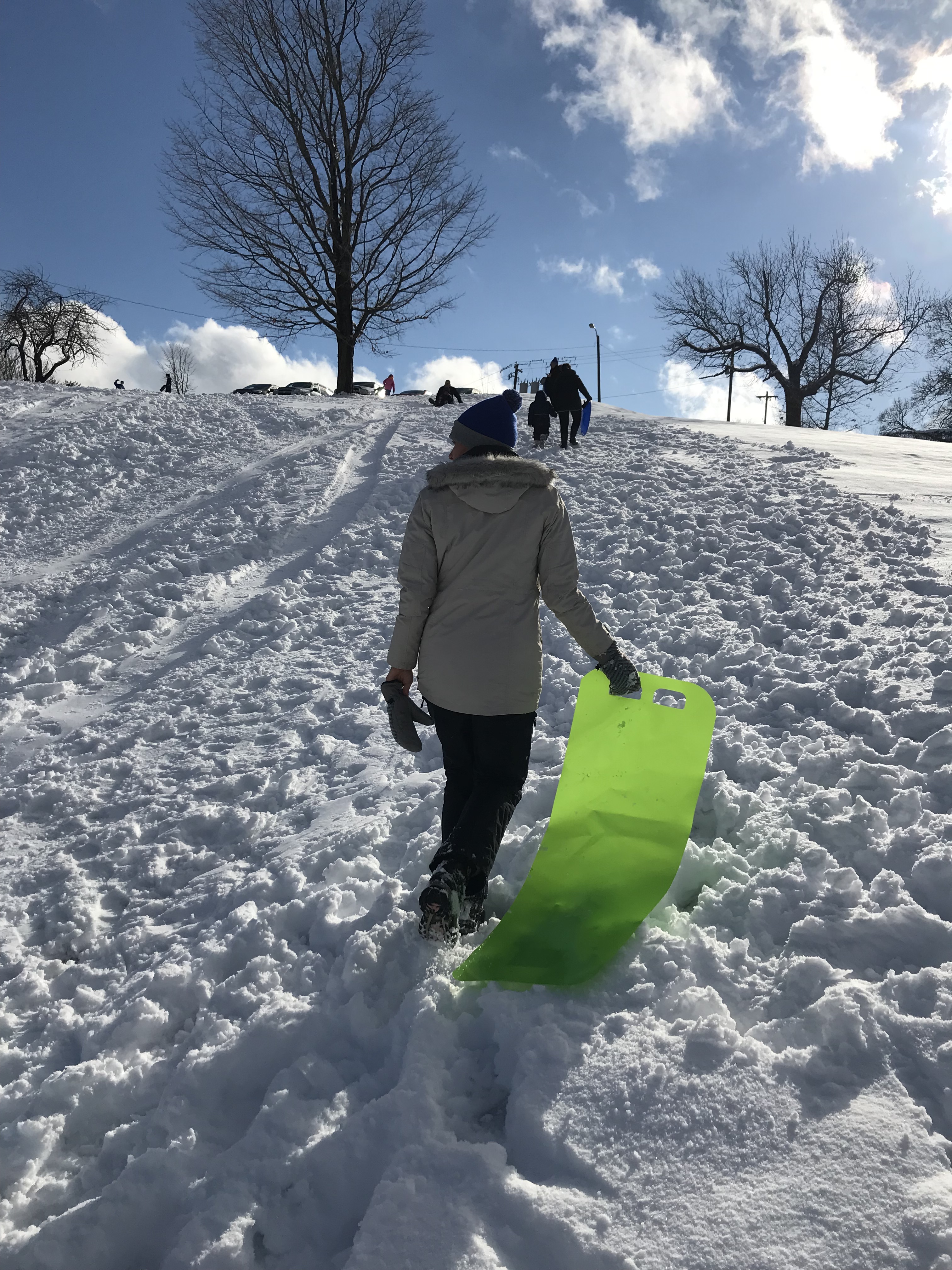 People enjoying sledding activities on Burgher Hill