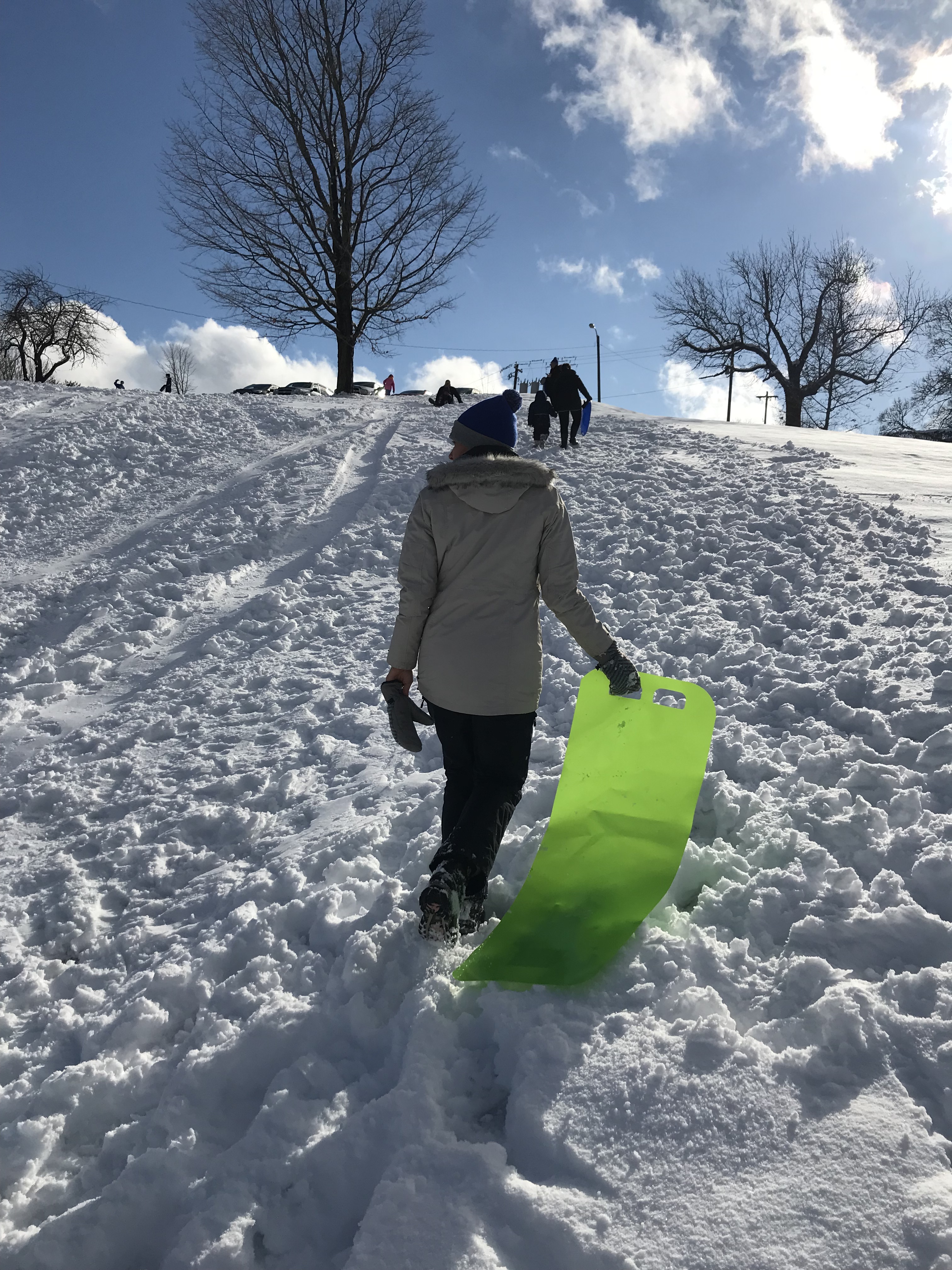 Sledding Burgher Hill