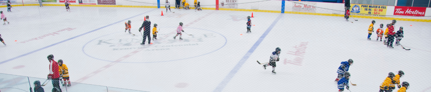 Ice Hockey and Skating