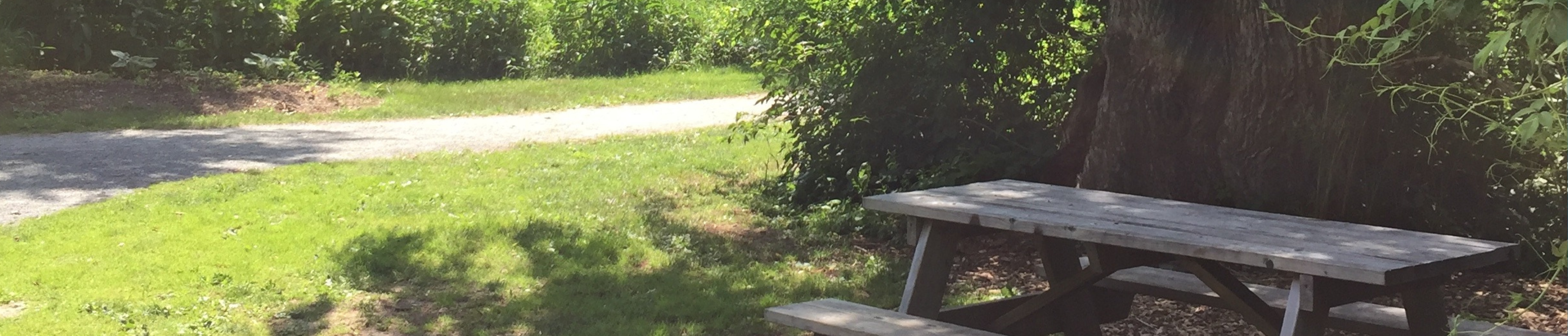Trail and Park Closures