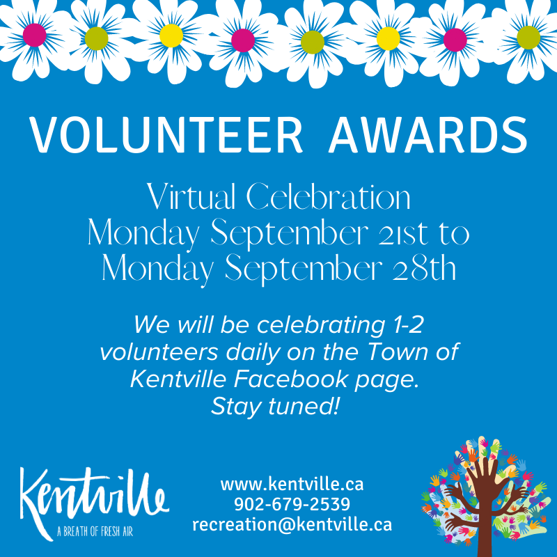 Volunteer Awards 2020