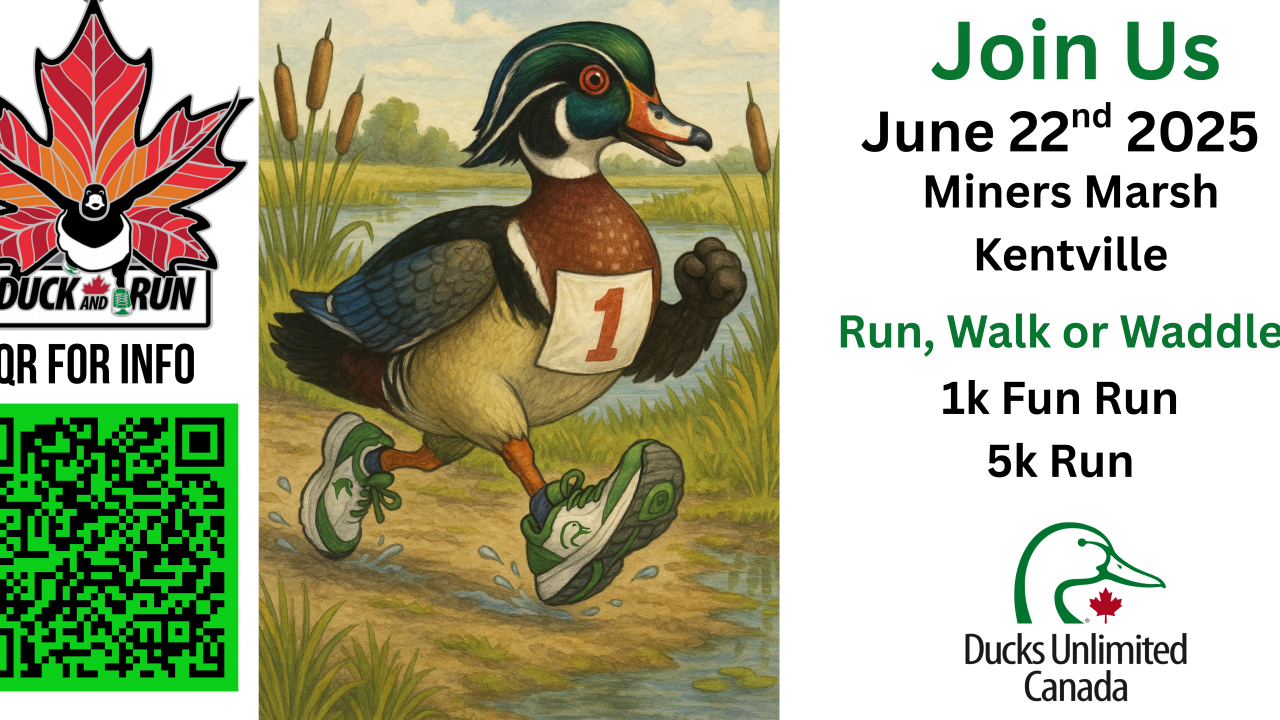 Ducks Unlimited Canada - Duck and Run