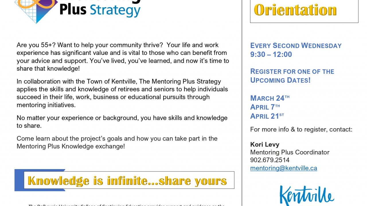 Mentoring Plus Strategy - Online Orientation