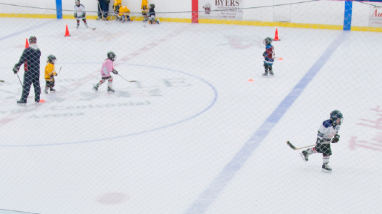 Skaters at the arena