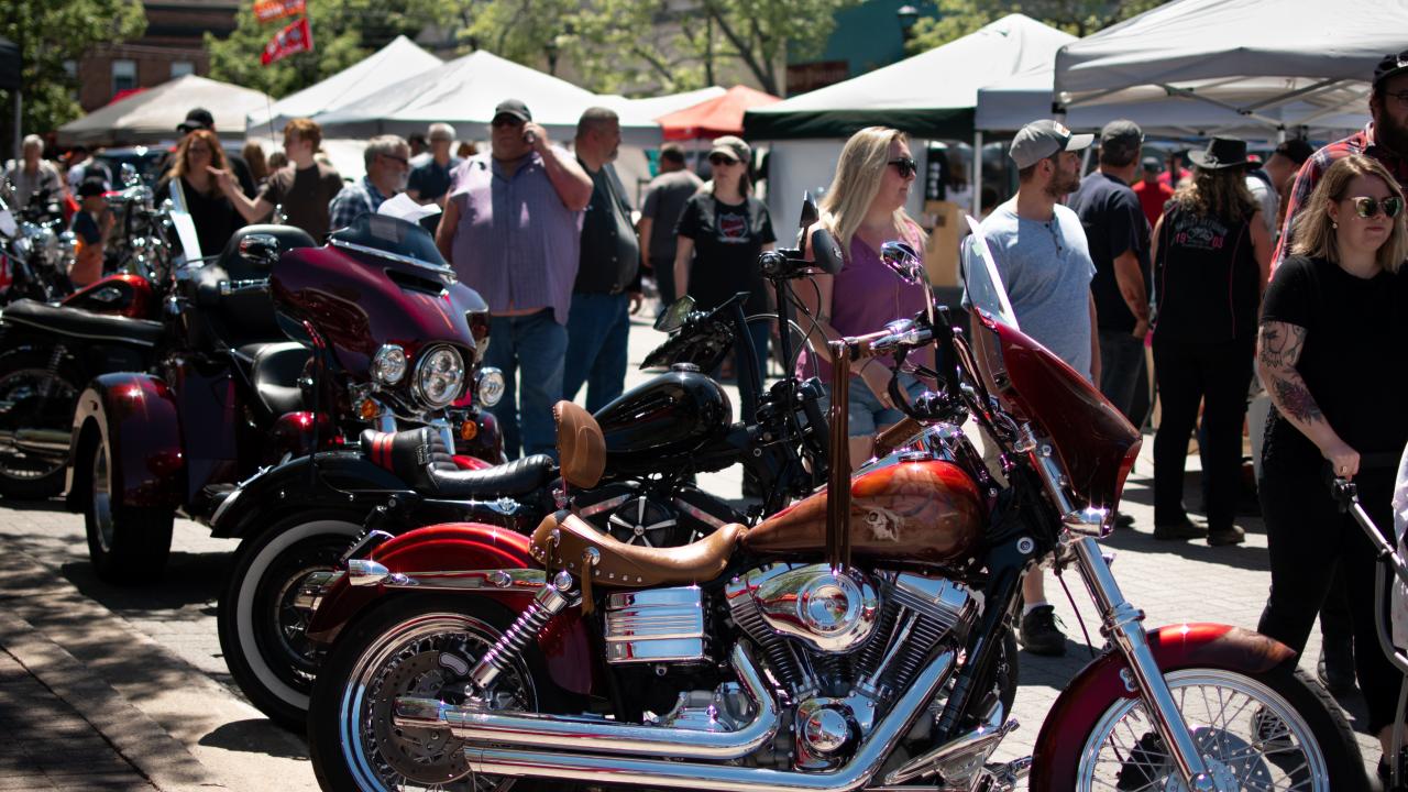 Motorcycles at the motorcycle rally, 2019