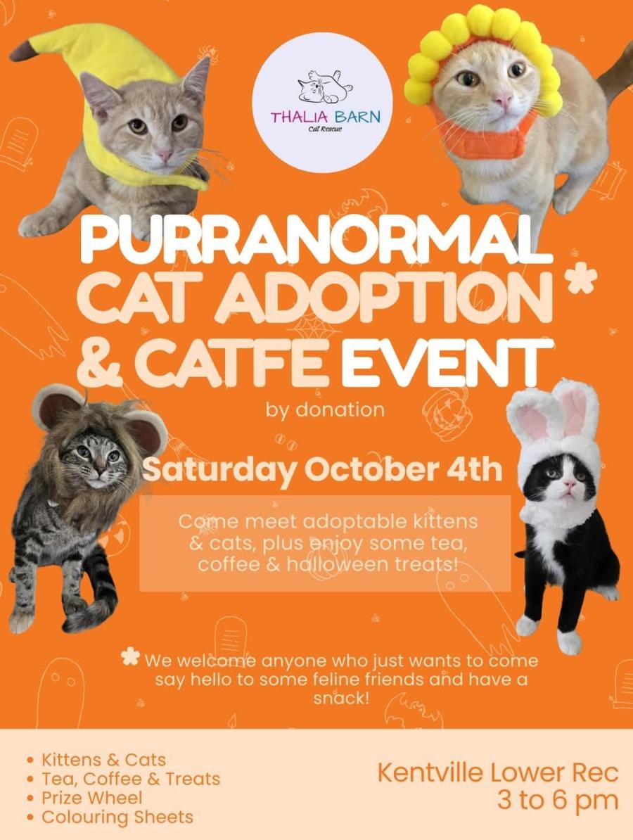 Purranormal Cat Adoption & Catfe Event