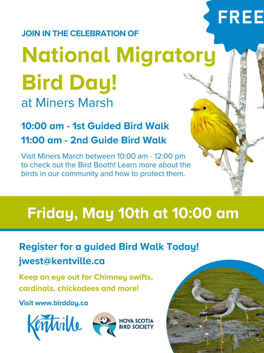 Poster of a bird with info about the event