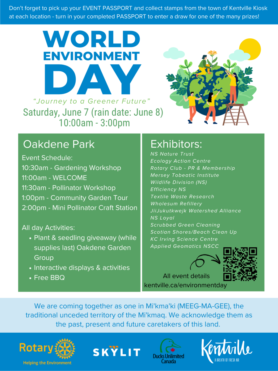 Environment Day