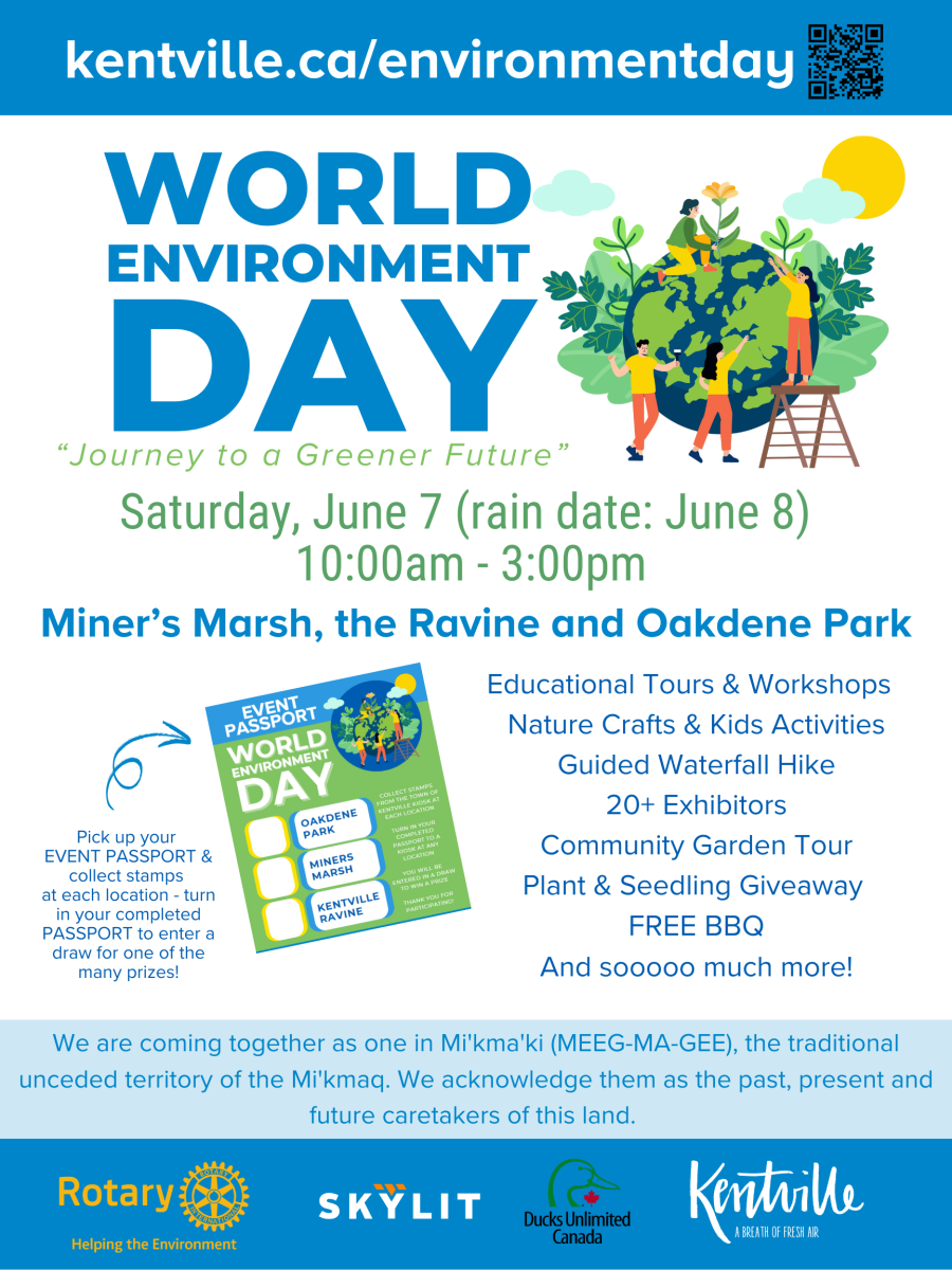 Environment Day