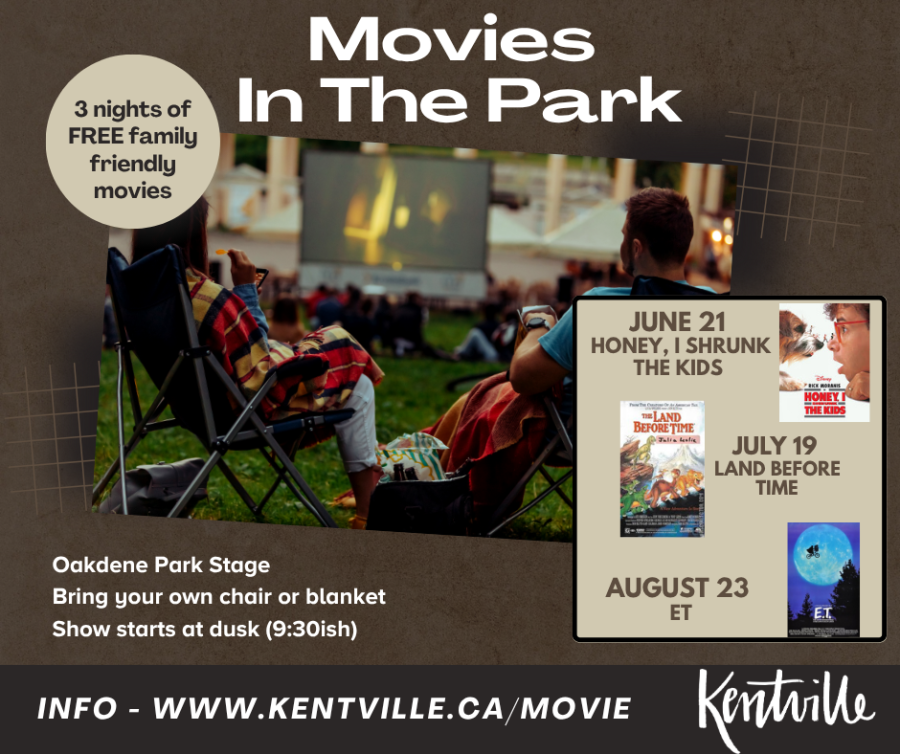 Movie in the Park Poster