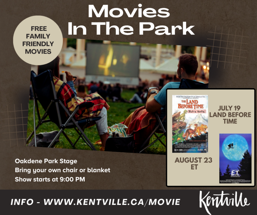 Movie in the Park Poster