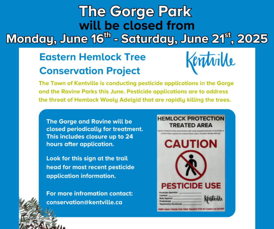 Gorge Closure