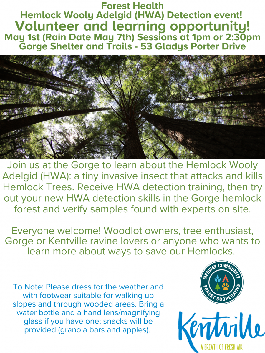 Hemlock Wooly Adelgid (HWA) Detection event poster. Event at The Gorge, 53 Gladys Porter Drive, Kentville on Sunday May 1st at 1pm or 2:30pm
