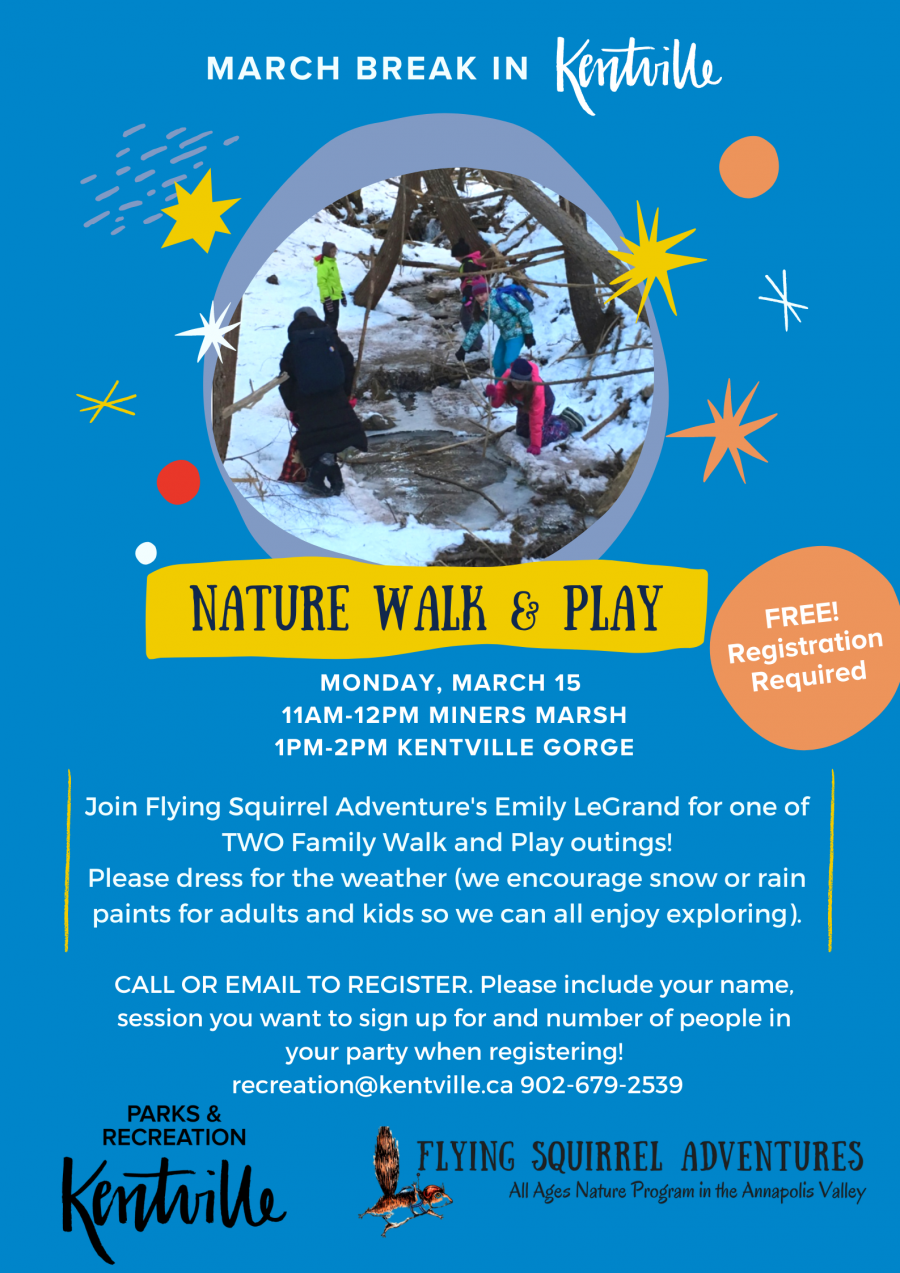 Nature Walk and Play Poster