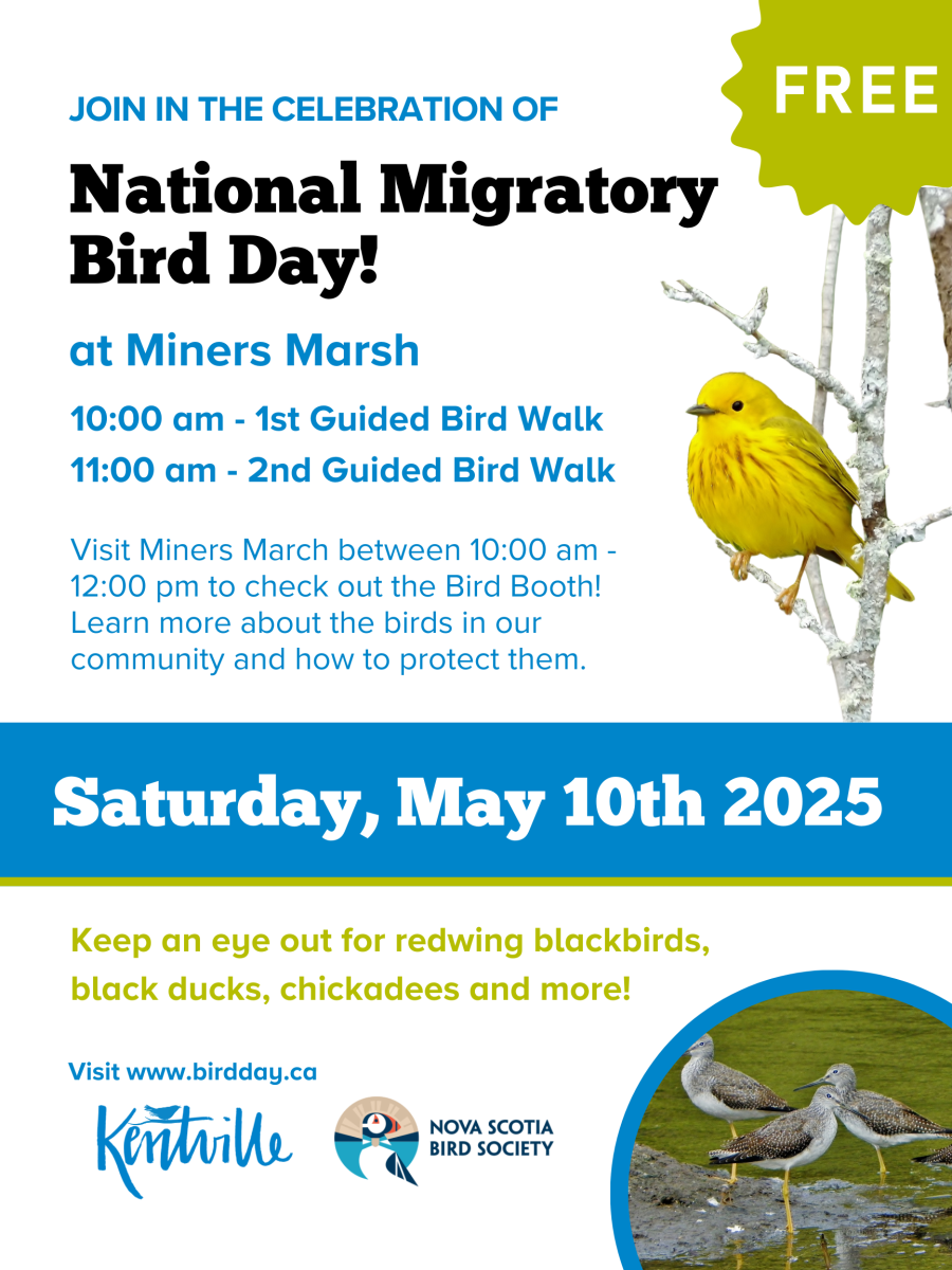 National Migratory Bird Day