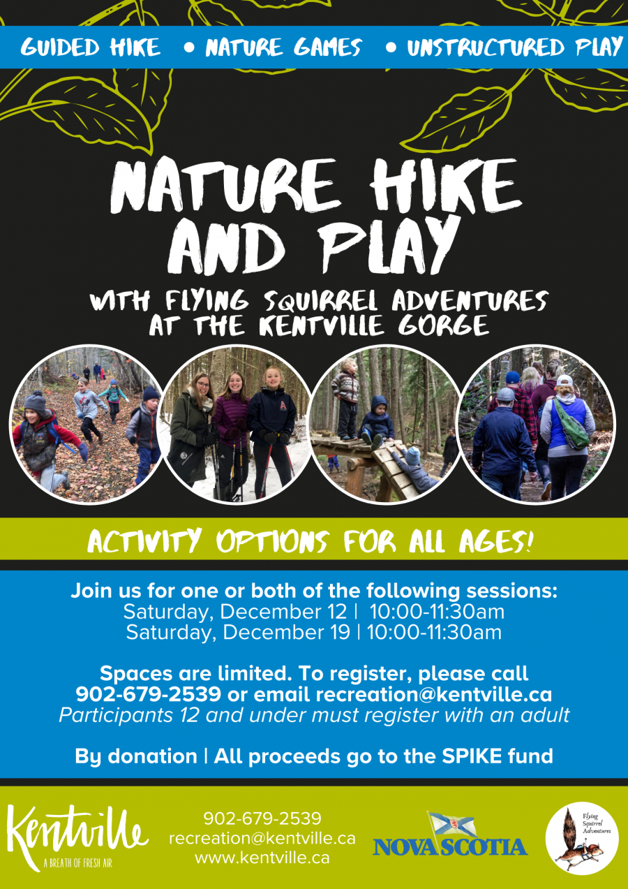 Nature Play and Hike Poster
