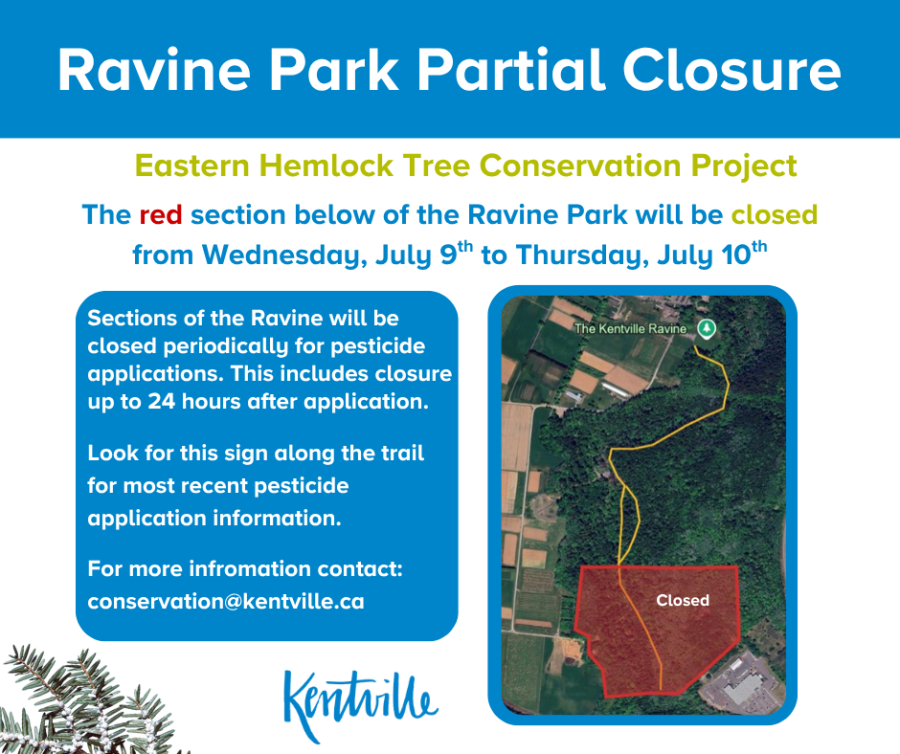 Ravine Park July 9