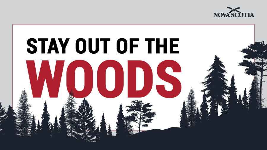 stay out of the woods graphic
