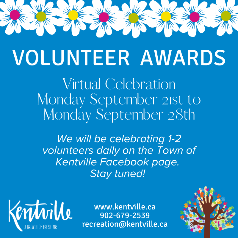 Virtual Volunteer Awards