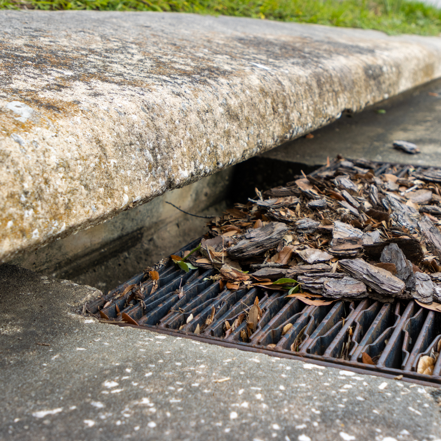 Storm drain on a road, with leaves