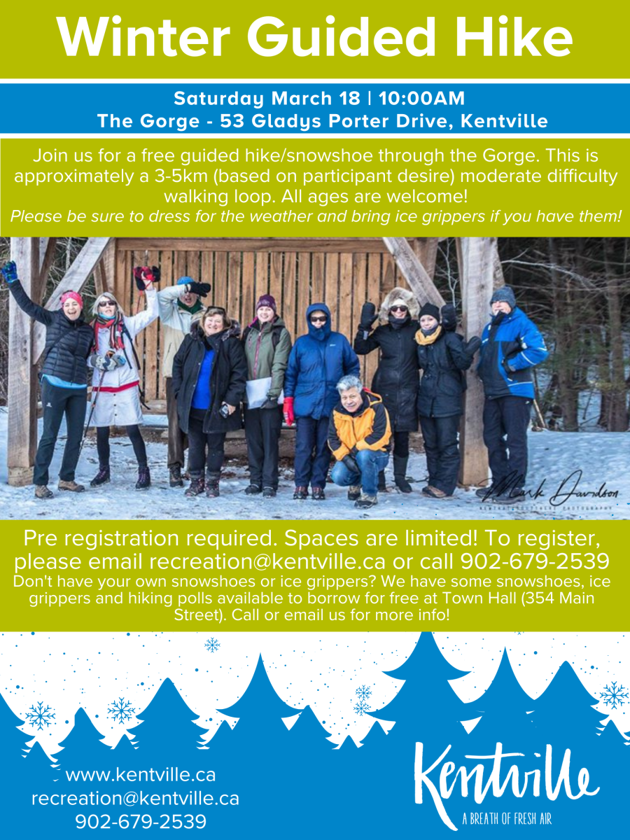 Poster for Guided hike on Saturday March 18th at 10am at the Gorge (53 Gladys Porter Drive). Poster includes photo of a group of people on a short walking bridge in the woods with light snow on the ground. 
