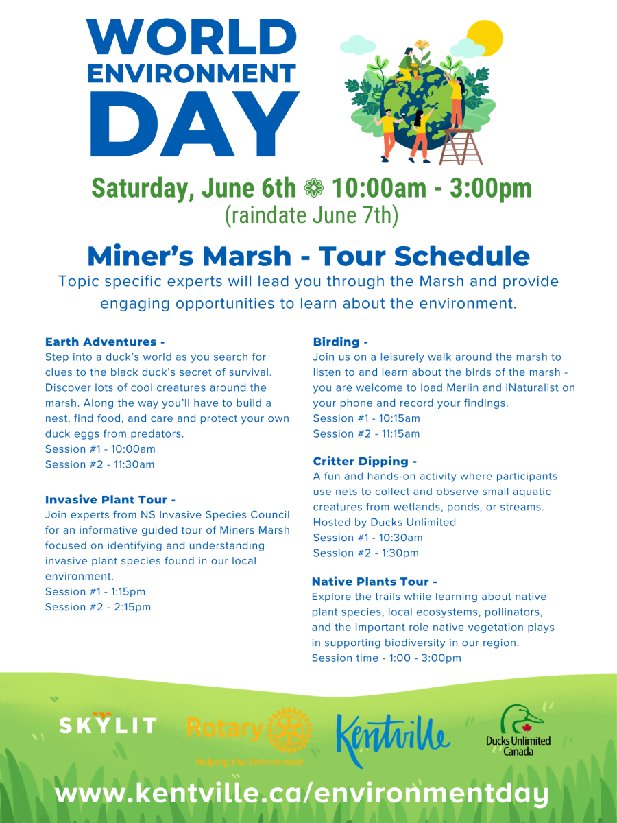 World Environment Day Poster Marsh Tour