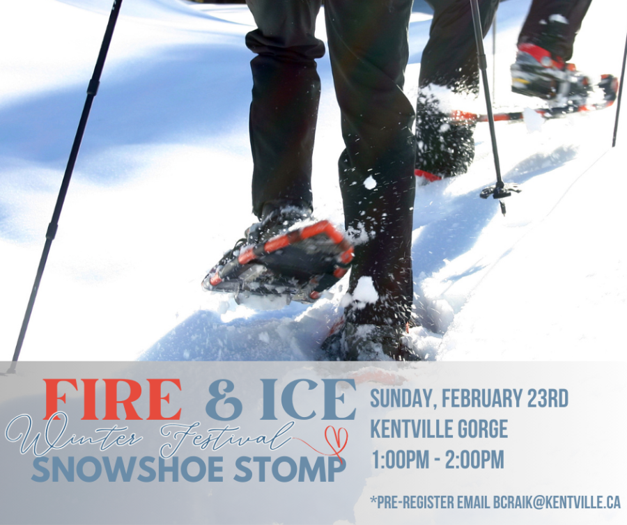Snowshoe Stomp