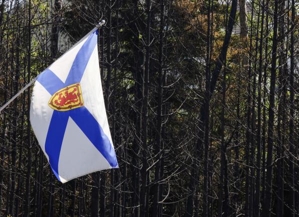 a ns flag hangs in front of burned trees